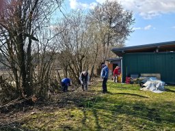 whatsapp image 2026-03-19 at 18.09.421